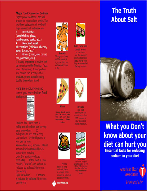Amerivan Heart Association brochure